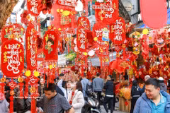 2026年河内古街迎春花市的空间。图自越通社