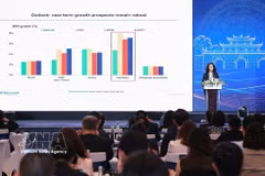 世界银行负责越南、柬埔寨和老挝的首席经济学家蒂娜·汗发表讲话。图自越通社