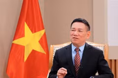 越南政府副总理胡德福。图自越通社