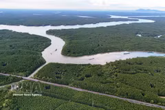 滨城-芹耶地铁线路将沿着红树林（rừng Sác）路延伸，为芹耶地区的绿色转型奠定基础。图自越通社 