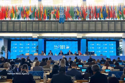 6月8日至12日，联合国粮食及农业组织（FAO）理事会第181届会议在意大利罗马总部举行。图自越通社