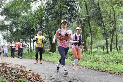 参加菊芳丛林小径(Cúc Phương Jungle Paths)跑步竞赛的运动员。图自越通社