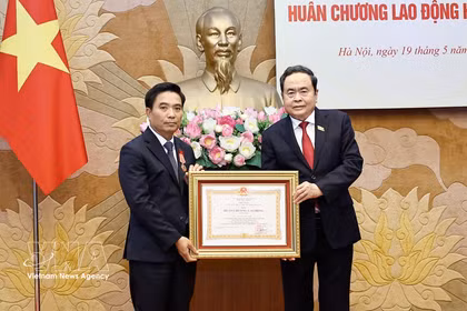 陈青敏代表党和国家领导人，向阮尹英授予了一等劳动勋章。图自越通社