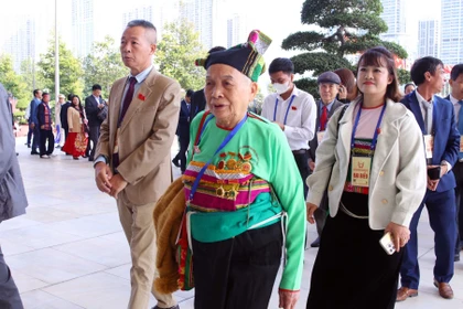 出席大会的代表。图自越通社