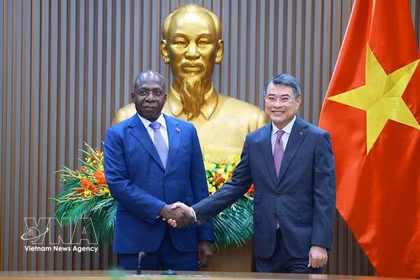 加强越南与安哥拉之间的务实合作