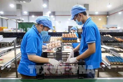 今年前10月越南全国CPI指数上涨3.27%。图自越通社