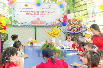 致力于在海外越南人社区守护越南语