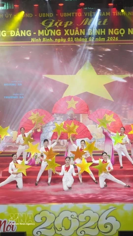 2026年丙午年春节的新春气息传遍越南各地