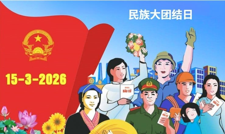 《国会代表和地方各级人民议会代表选举法》