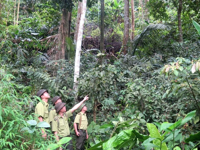 越南宣光省注重保护生物多样性和稀有动物。越南民族与山区画报