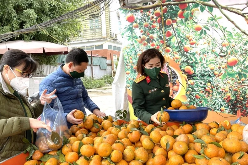 附图（图源：工贸部） 