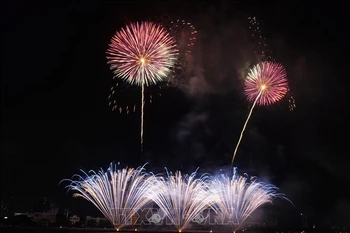 2025年岘港国际烟花节在岘港市举行。图自越通社