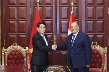 越南国家主席梁强会见埃及参议院议长阿卜杜瓦哈卜·阿卜杜拉齐格。图自越通社