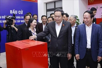 陈青敏主席率团检查海防市海安坊选举筹备工作。图自越通社