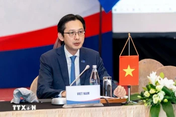 越南外交部副部长杜雄越。图自越通社