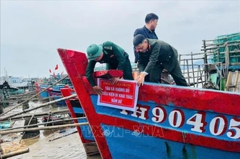 清化省各沿海地区认真同步实施多项预防和打击IUU捕捞的措施。图自越通社