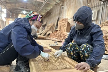 附图 图自越通社