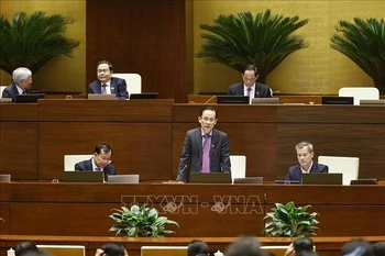 外交部长黎怀忠发言。图自越通社