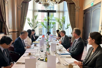 越南与荷兰举行首次副外长级政治磋商。图自越通社