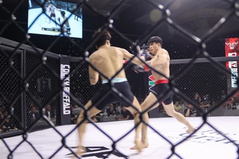 天使格斗锦标赛37期Hồ Tràm Showdown的一场比赛。图自越通社