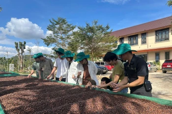 附图 图自越通社
