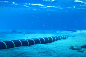 越南目前拥有6条海底光缆，包括AAG、IA、AAE1、APG、ADC和SJC2。图自越通社