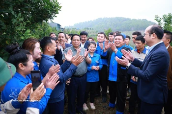 越南政府总理范明政走访了奠边省普洱乡怀滔乙村的澳洲坚果种植模式。图自越通社
