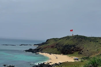 富贵特别行政区一角。图自越通社