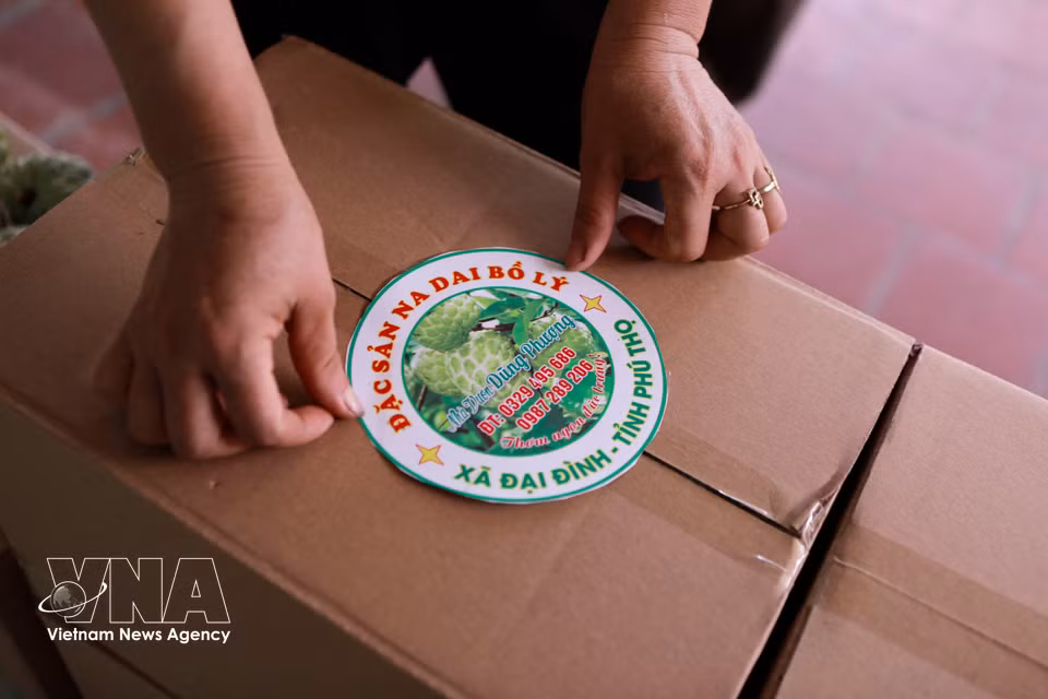 葡李番荔枝树已注册集体商标保护，拥有编码和条形码，被认定为3星级“一乡一品”产品。图自越通社
