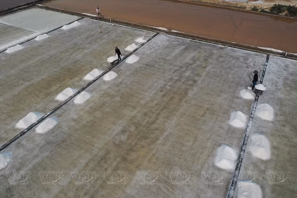 宁顺省的制盐业主要集中在宁海县芳海乡、知海乡、仁海乡，顺海县卡纳乡、福盐乡、福明乡等地。图自越通社/ 《越南画报》