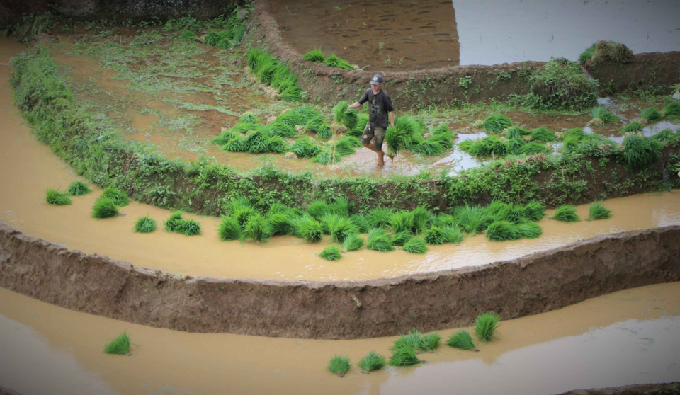 赫蒙族同胞占昆呵乡人口总数的93%。图自越通社