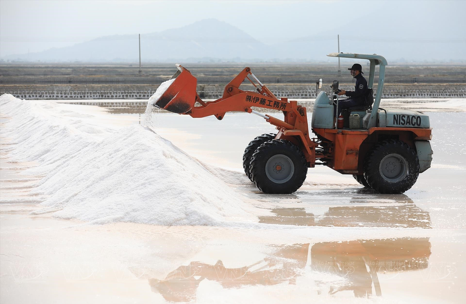 铲车把盐装上卡车运走。图自越通社/《越南画报》