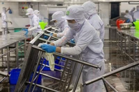 某一厂房的工人过年后重返工作岗位。图自越通社