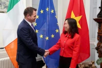 越南与爱尔兰举行副外长级政治磋商。图自越南外交部