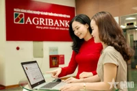越南农业与农村发展银行（Agribank）工作人员引导客户在数字化渠道进行安全交易。图自人民军报