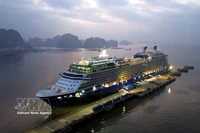 春节期间广宁省预计接待国际邮轮游客达数千人次。图自越通社