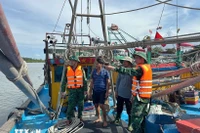 政府总理范明政要求主动应对第15号台风。图自越通社