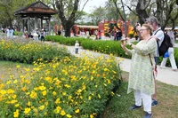 顺化市富春坊的春节鲜花装饰空间吸引众多国际游客参观拍照。图自越通社