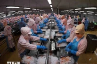 越南-新加坡水产品贸易前景广阔。图自越通社