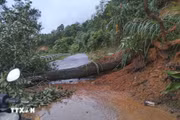持续强降雨引发山体滑坡，山罗省、奠边省交通严重受阻