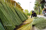 安江边境居民巧用蒲草制作手工艺品
