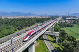 附图。图自thanhnien.vn