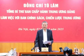 苏林总书记在7月3日就越南民营经济发展与中央战略与政策委员会召开会议.。图自越通社
