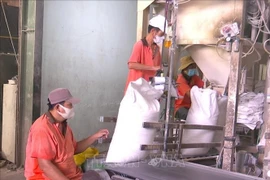 新同进股份公司生产活动。图自越通社