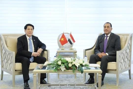 国家主席梁强会见埃及总理马德布利。图自越通社 