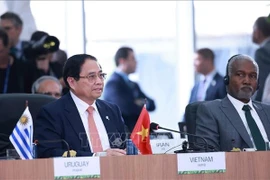 范明政总理出席“环境、COP30与全球卫生”的高级别会议。图自越通社