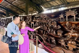 游客参观一幅长近25米、重约20吨的巨型流木画作。该画作被认为越南最为精工细作的作品之一。图片来源：越通社