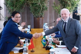 越南政府总理范明政与巴西总统卢拉握手。图自越通社