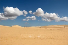 骑骆驼参观沙丘是游客在游览“白沙丘”（Bàu Trắng）时可体验的一项服务。图自越通社