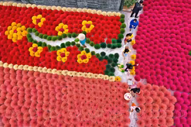 河内广富球制香村每日迎接数百名国内外游客。图自《越南画报》